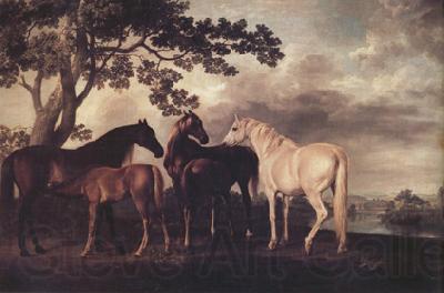 George Stubbs Mares and Foais in a Landscape (nn03) Spain oil painting art